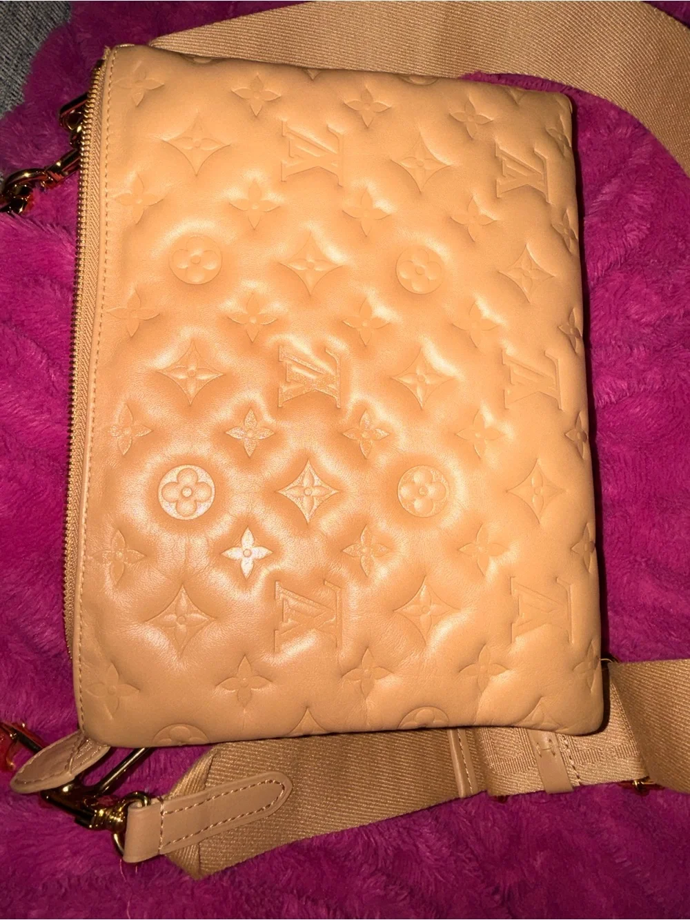 Louis Vuitton Coussin PM